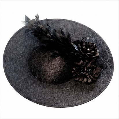 Black Feather Hat